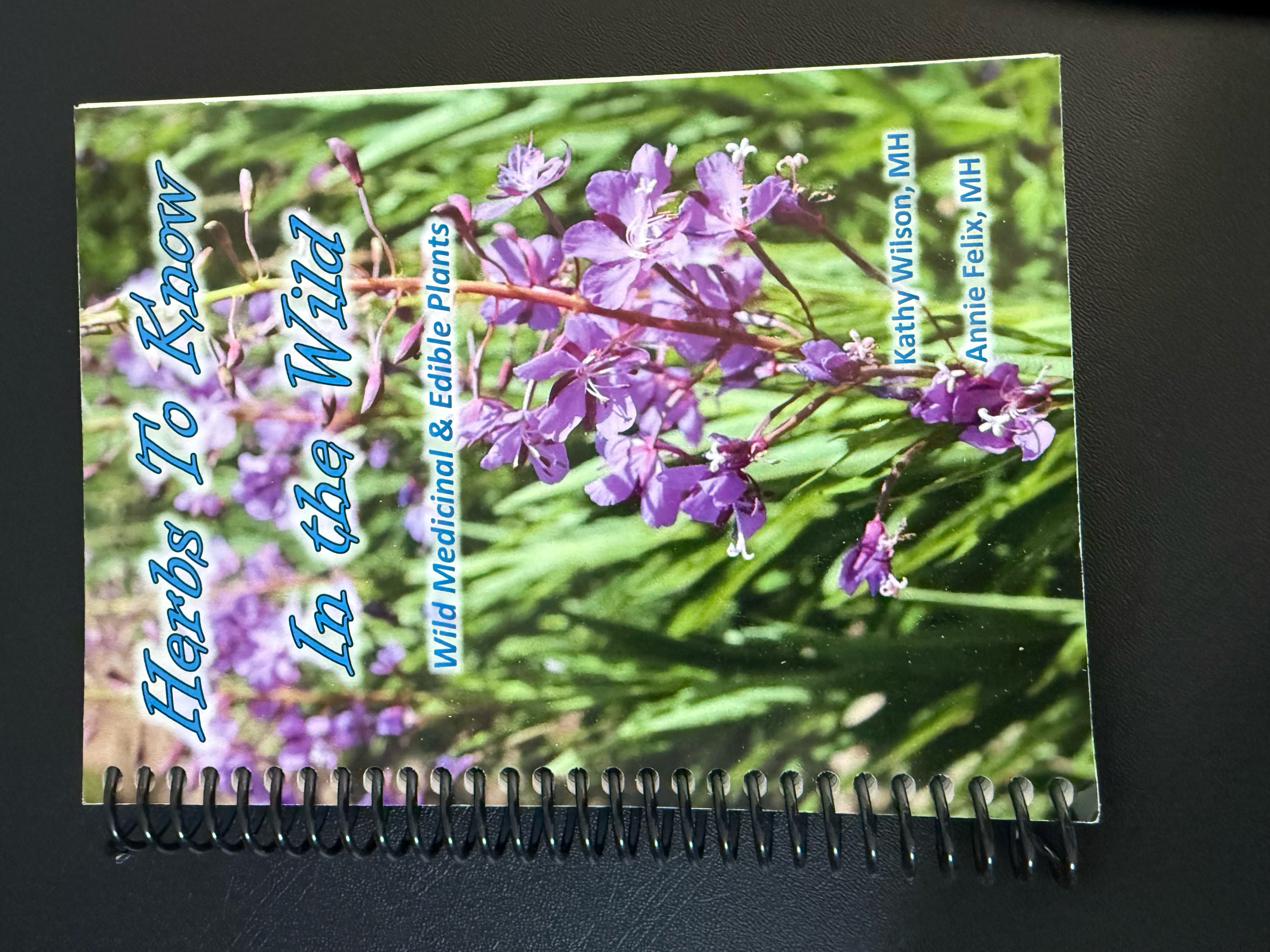 herbs to know in the wild